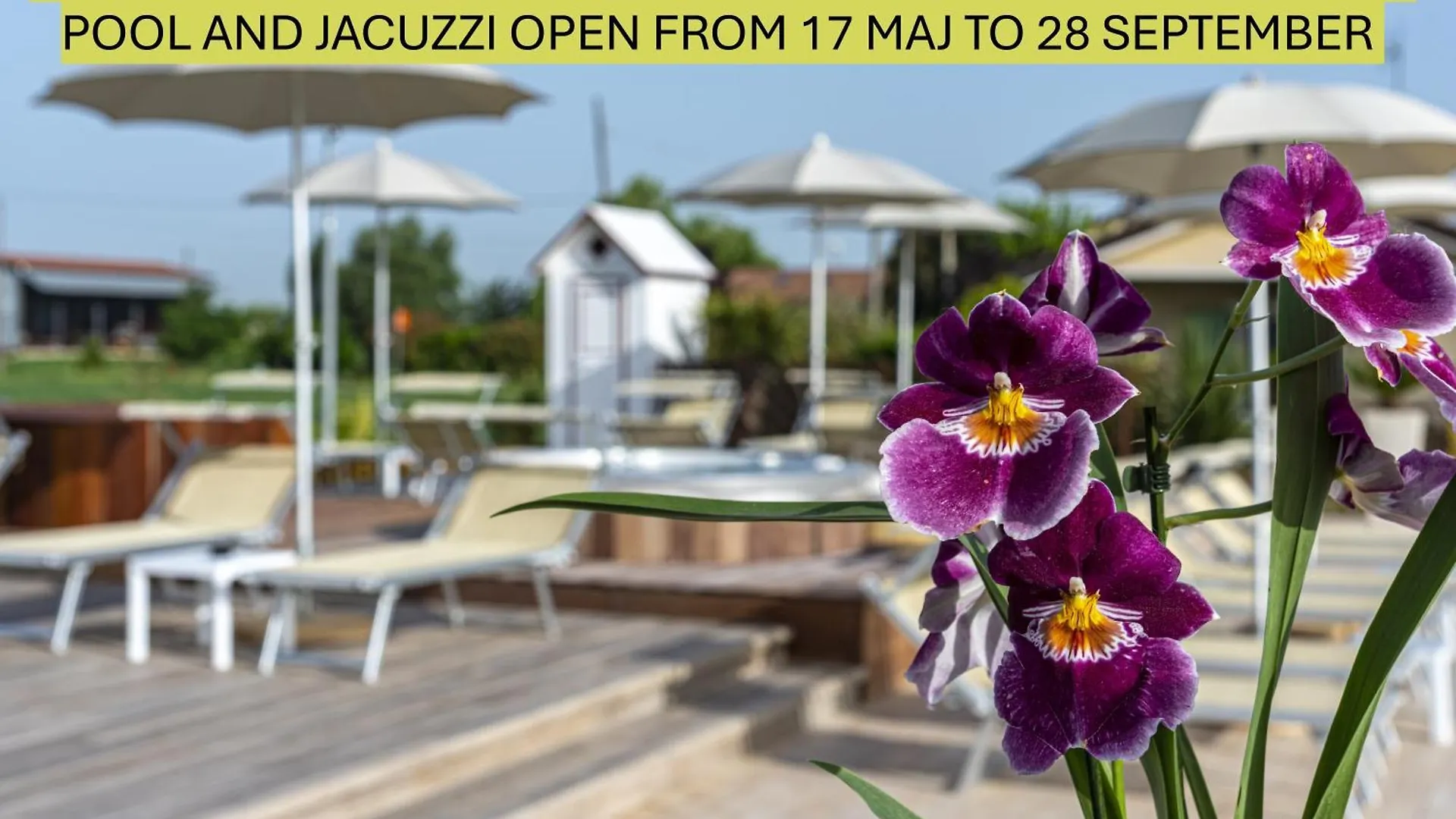 Agriturismo B&B Vista Parco Savio di Ravenna İtalya